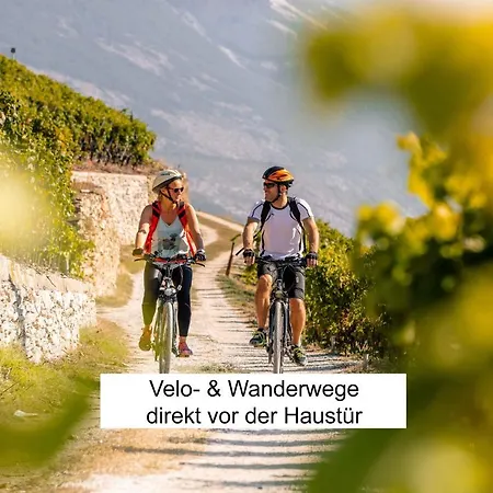 Vino Veritas * Salgesch