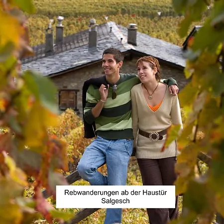 Bed & Breakfast Vino Veritas