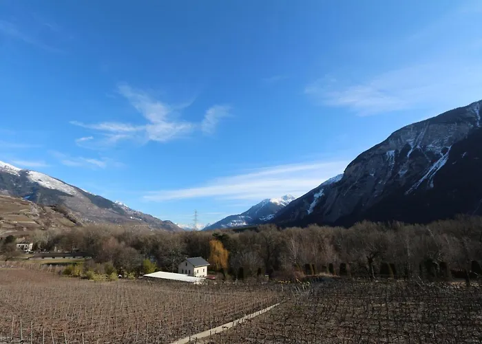 Vino Veritas Oda ve Kahvaltı