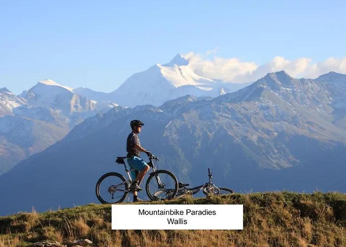 Vino Veritas Salgesch