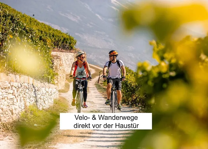 Vino Veritas 4* Salgesch